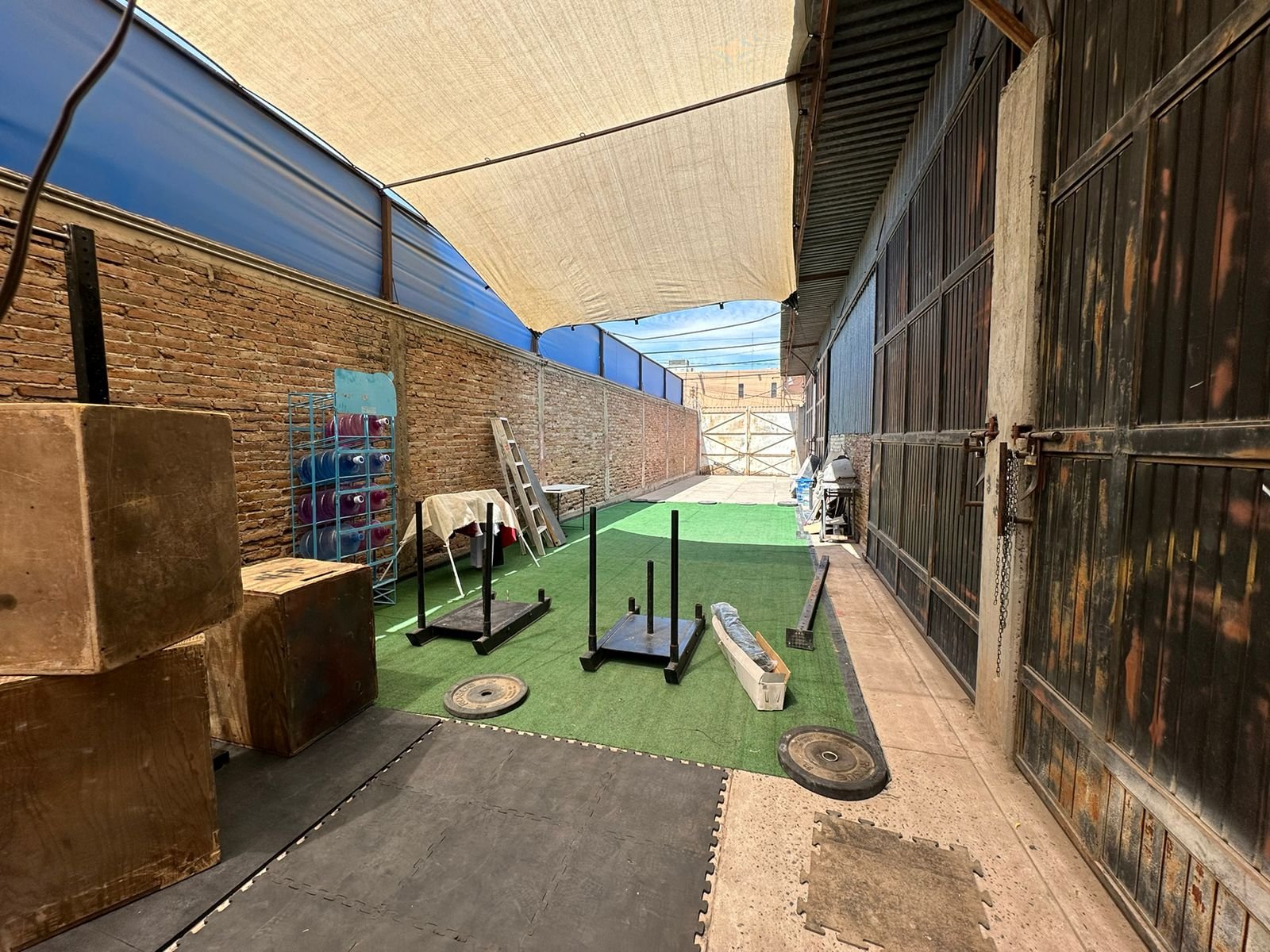 WhatsApp Image 2024-11-05 at 10.04.50 AM (2).jpeg