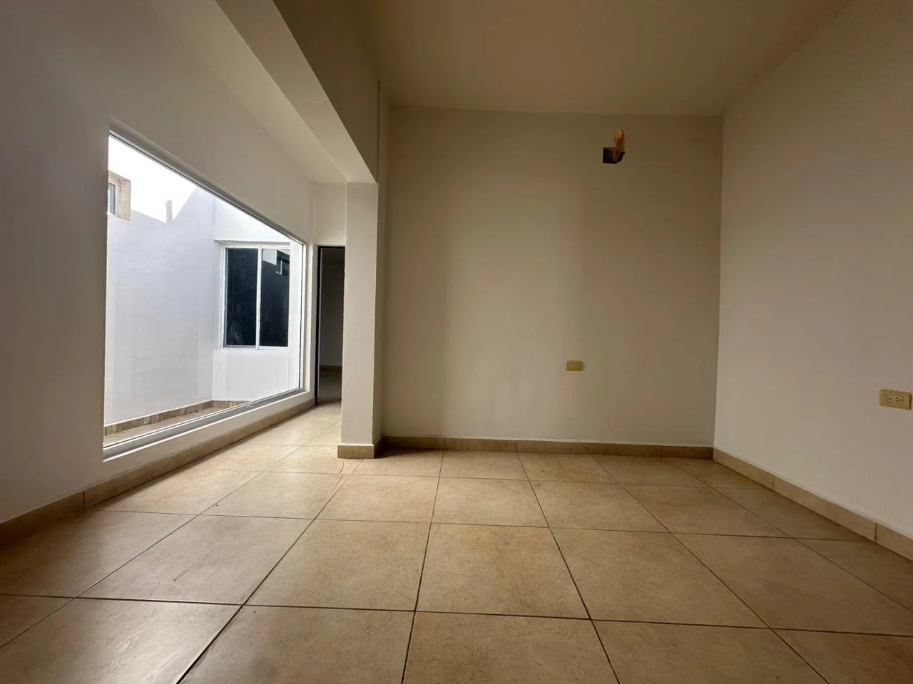 WhatsApp Image 2025-12-05 at 12.22.07 PM (6).jpeg