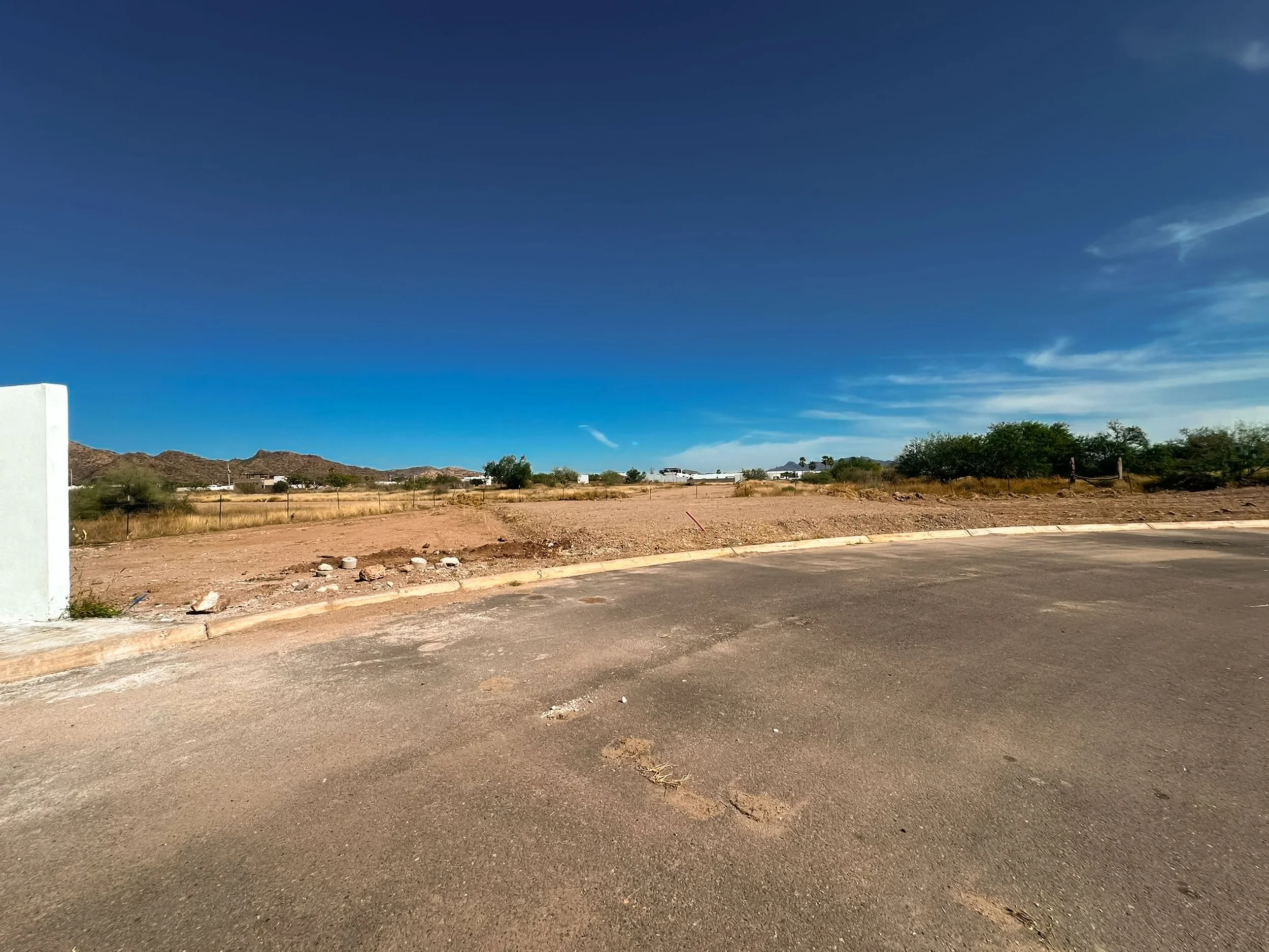 PHOTO-2026-02-02-11-56-15 3.jpg