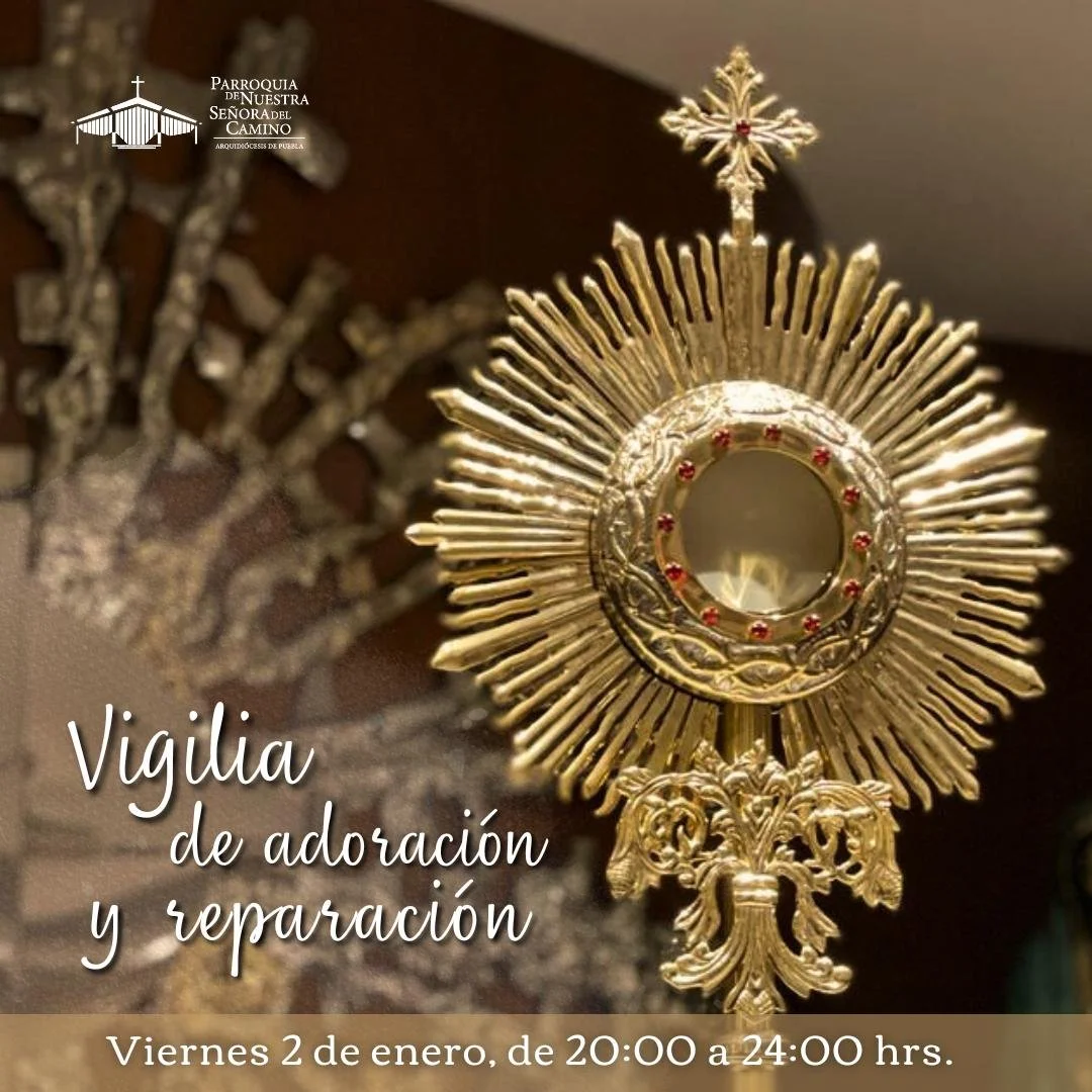 WhatsApp Image 2026-01-02 at 14.25.20.jpeg