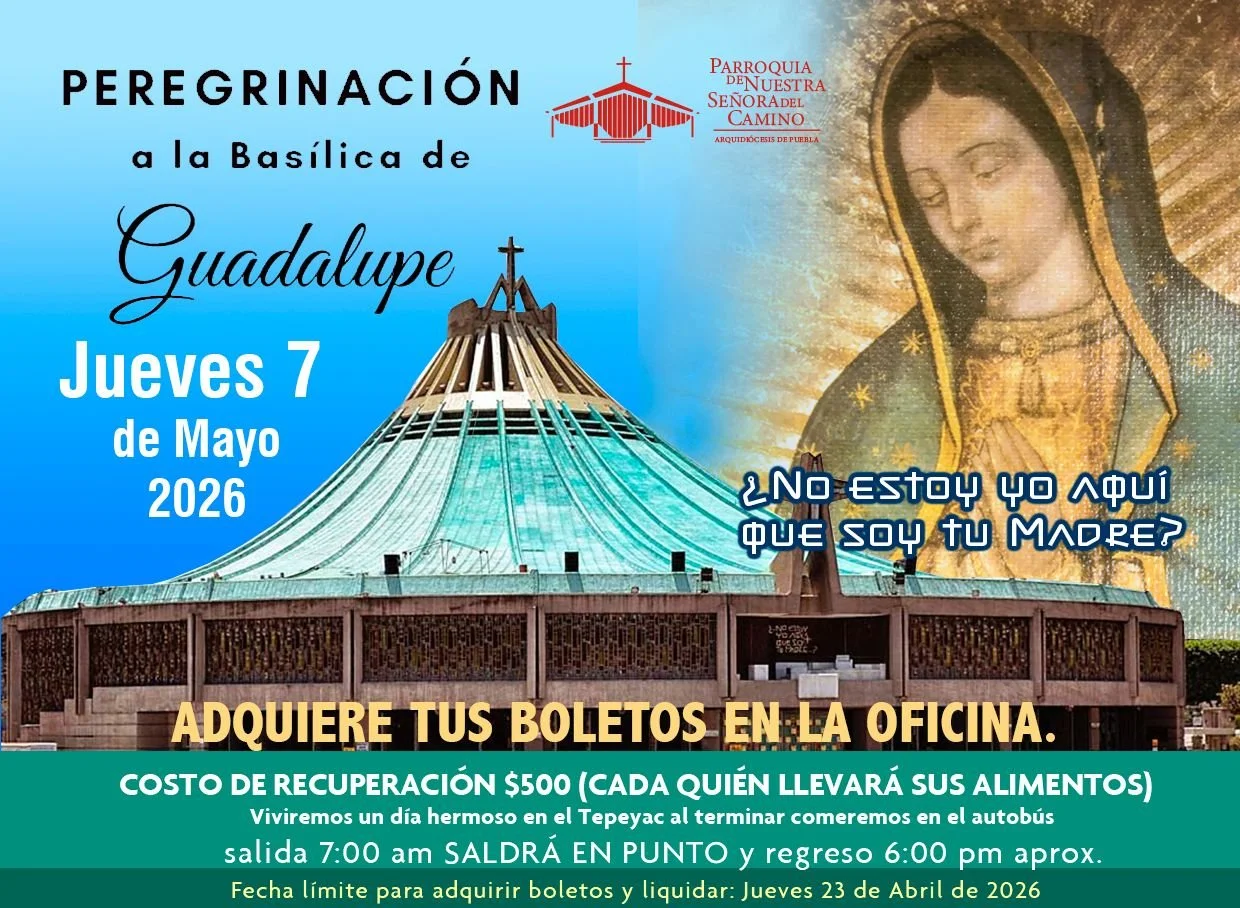 WhatsApp Image 2026-04-15 at 21.03.48.jpeg