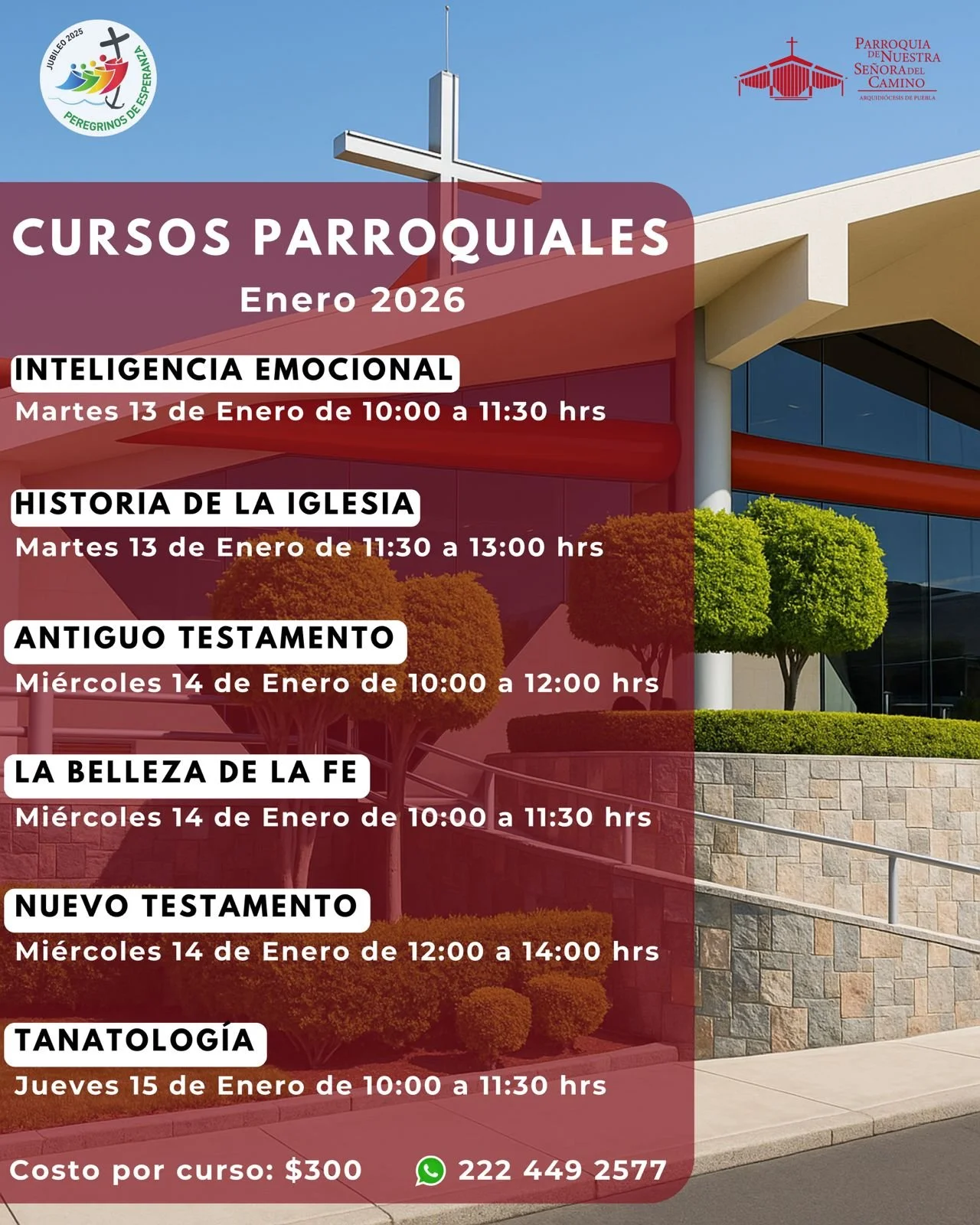 WhatsApp Image 2026-01-12 at 12.46.56.jpeg