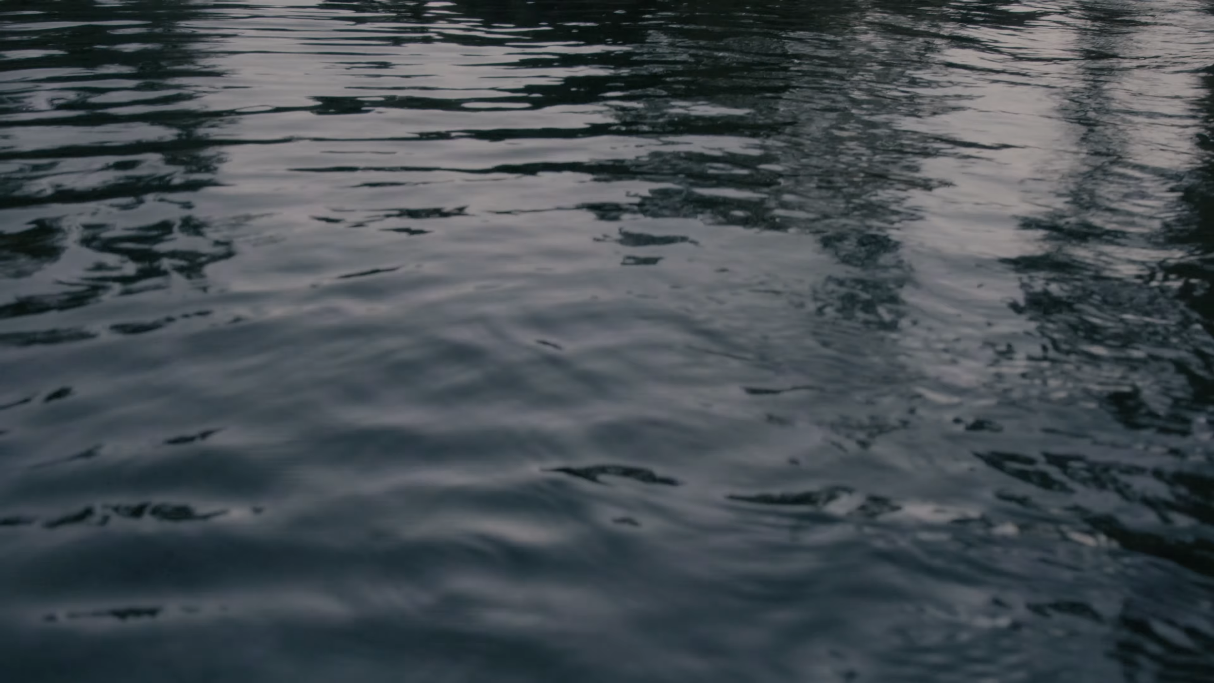 Screenshot 2026-08-10 230715.png