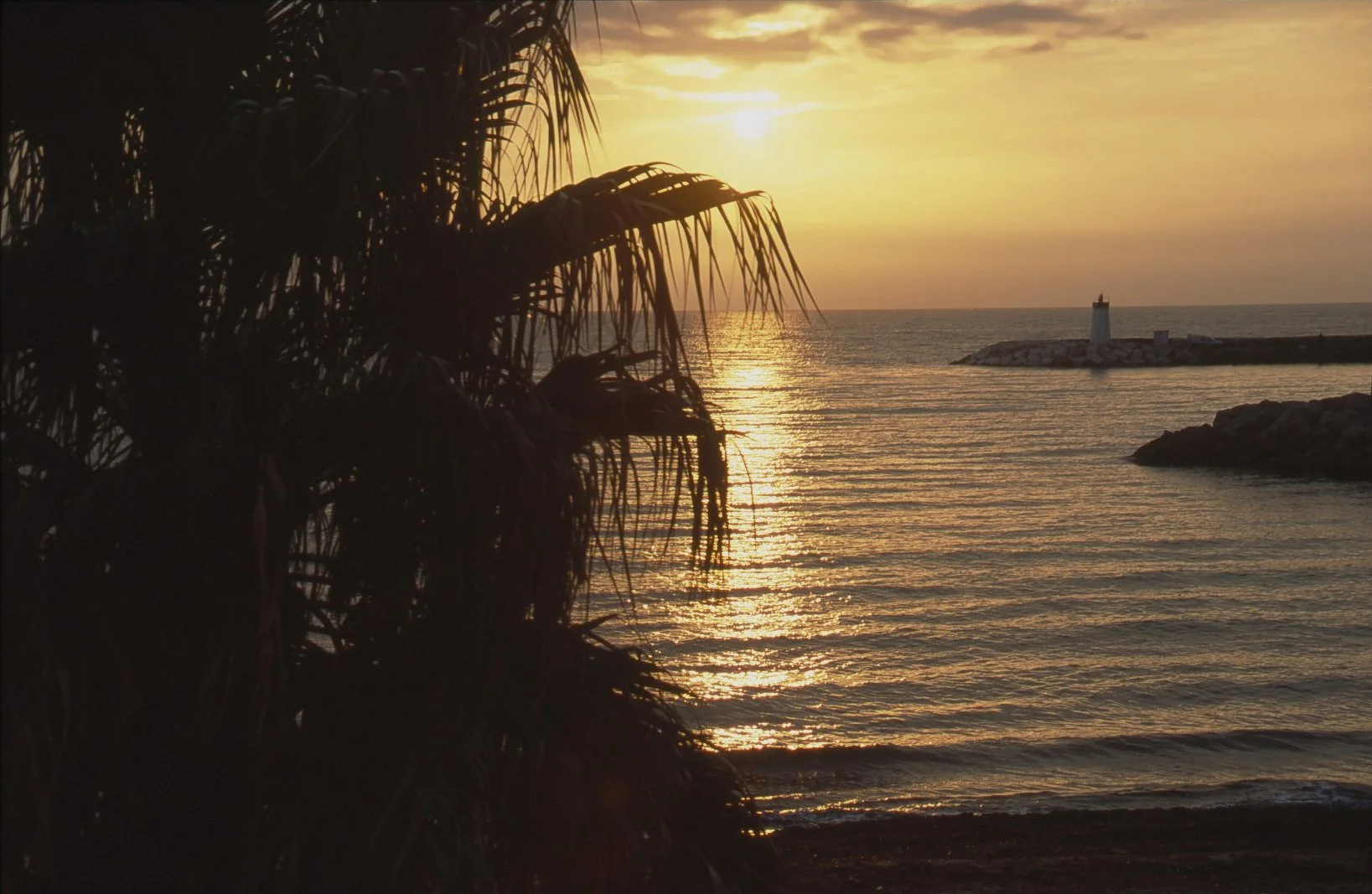 NEC BF Page 2 Hyeres-Plage   7769.jpg