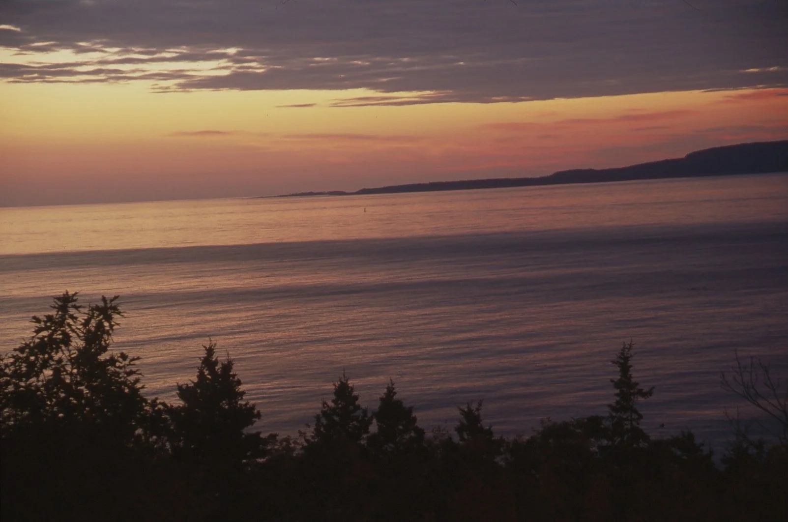 NEC BF Page 5 Acadia Schooner Head  7818.jpg