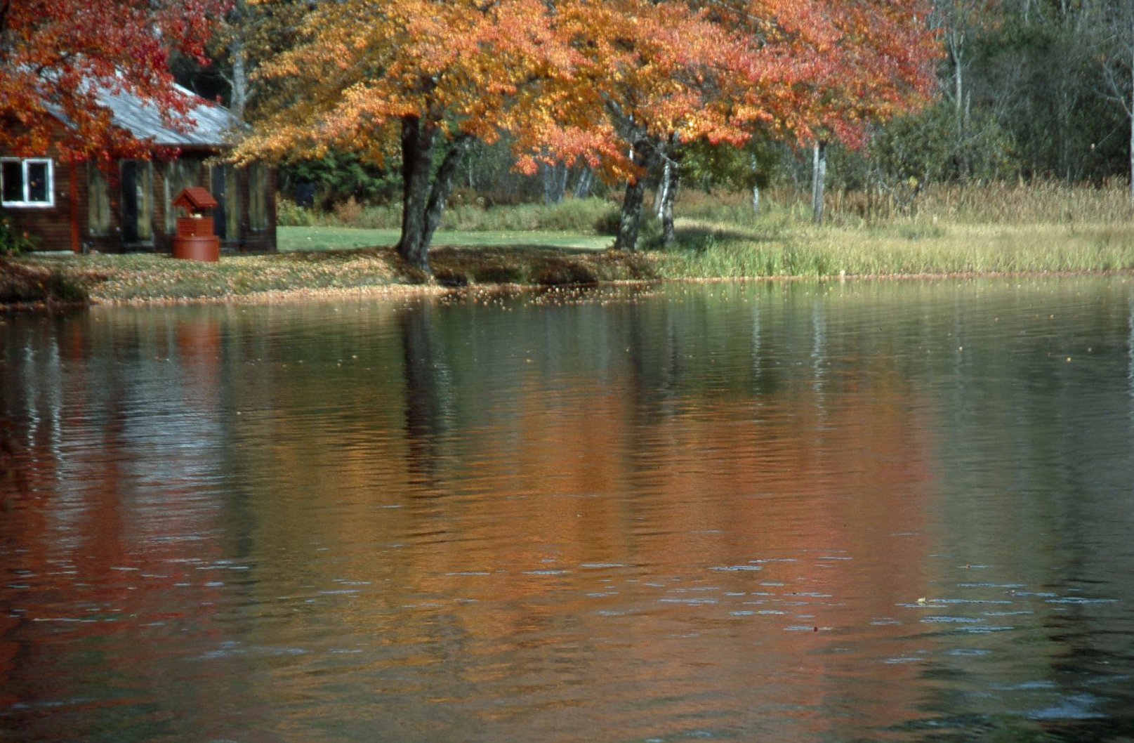 NEC SF page 2 NH 8132.jpg