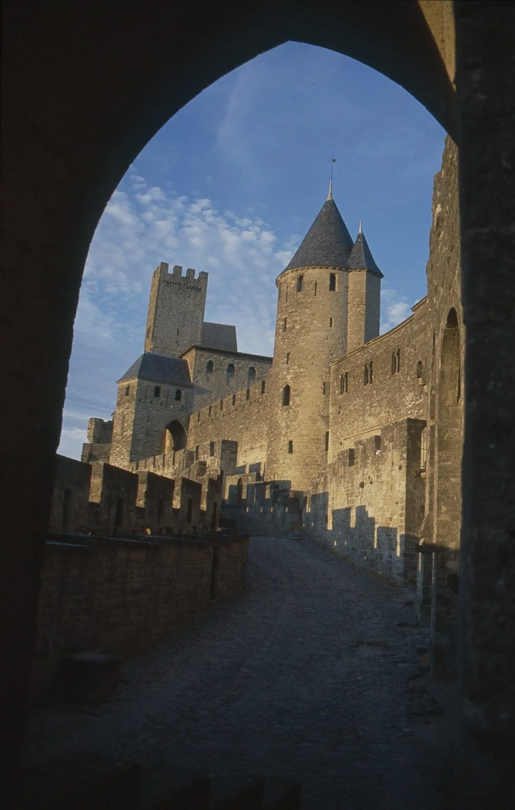 NEC RF Page 4 Carcassone 8048.jpg