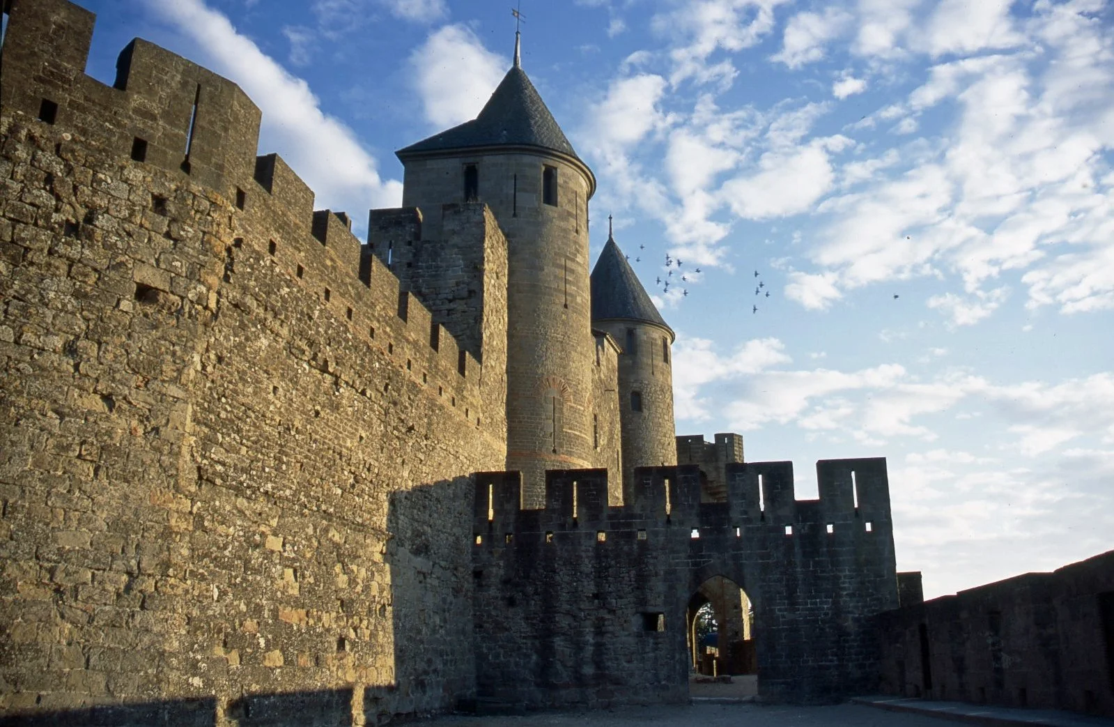 NEC SF Page 1 Carcassone 8113.jpg