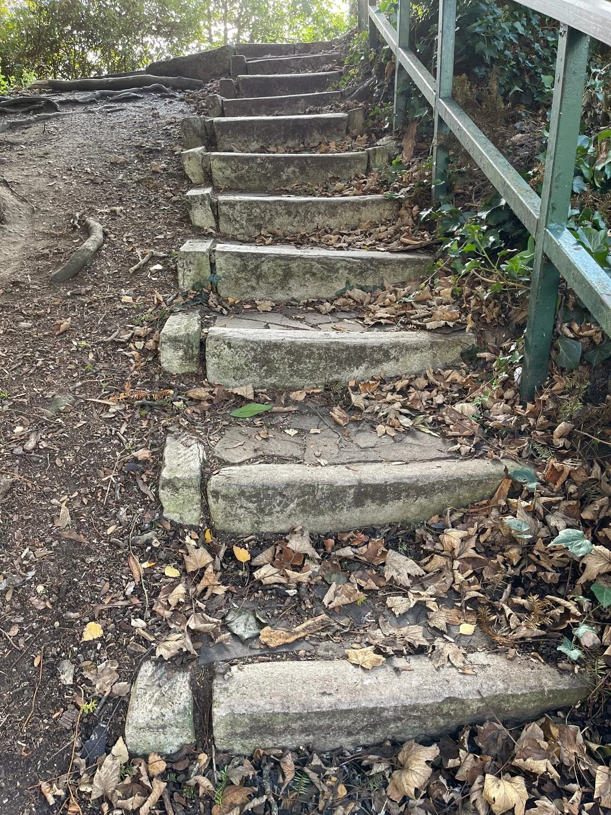 Old outdoor concrete stairs with leaves and debris, bordered by a green metal railing on the right side, leading up a natural dirt path surrounded by trees and foliage.