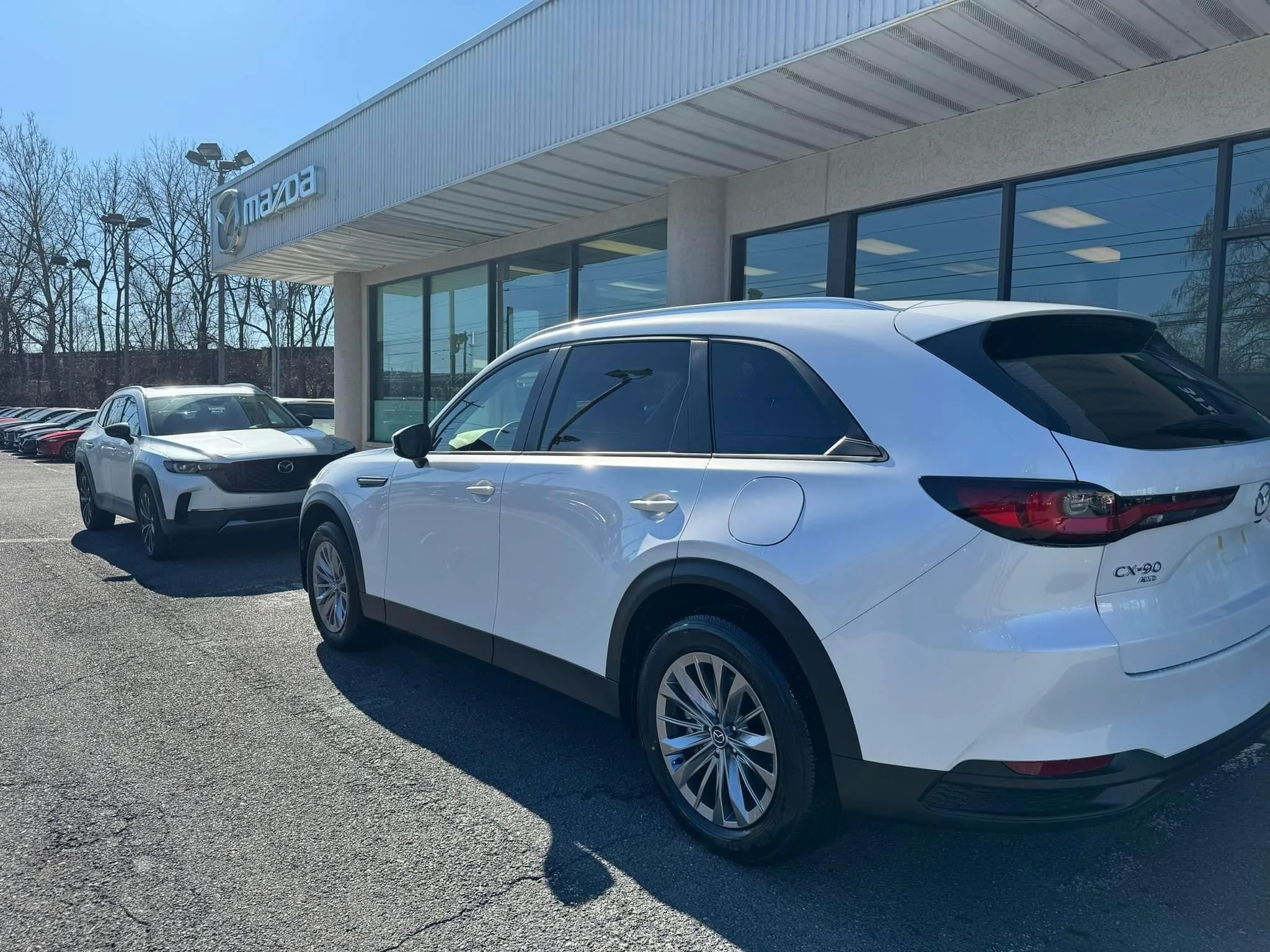 A white Mazda CX-50 SUV parked in front of a Mazda dealership with large glass windows, additional cars parked nearby, and trees with no leaves in the background.