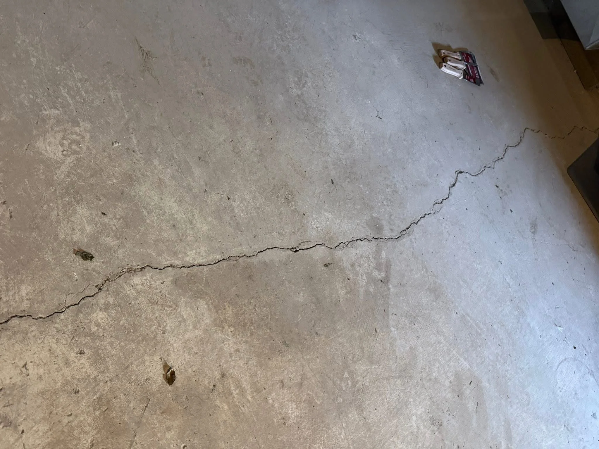 A cracked concrete floor with a pair of pliers and a small box on it, with some metal debris and small insects visible.