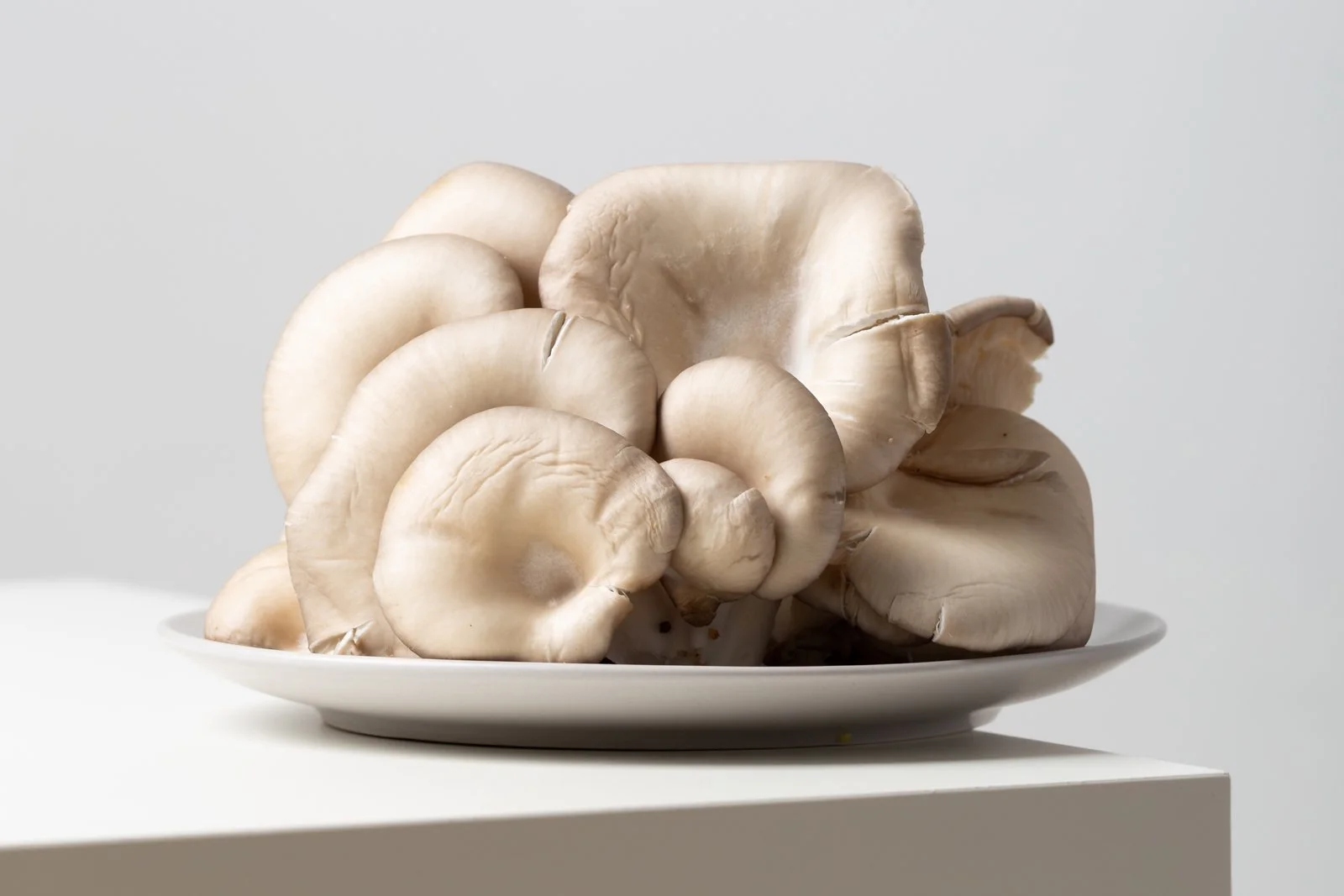 Boosting VO₂ Max Naturally: How Mushrooms, Shilajit &amp; Beta-Glucans Fuel Peak Performance