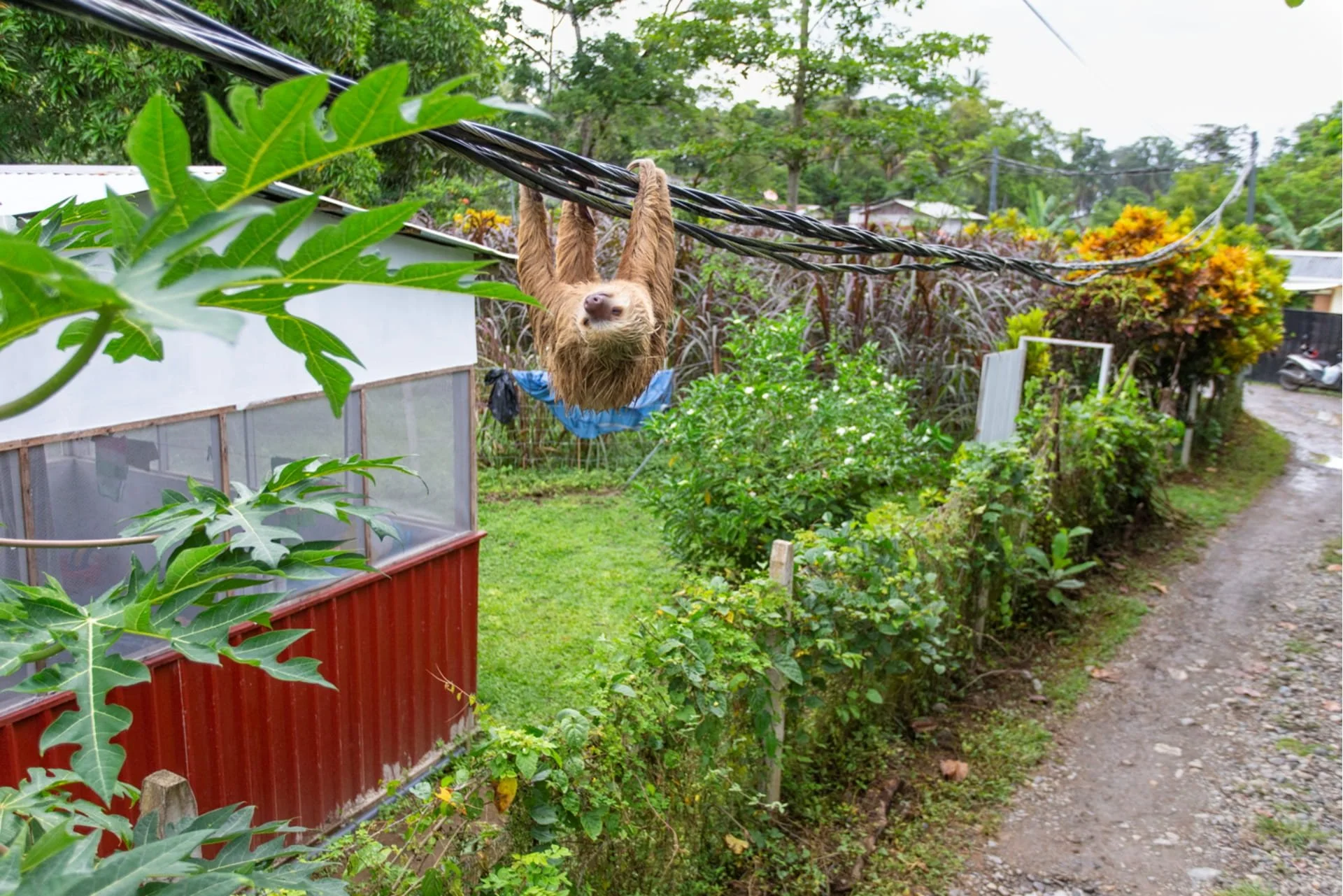 What is Micro-fragmentation? International Day of Forests