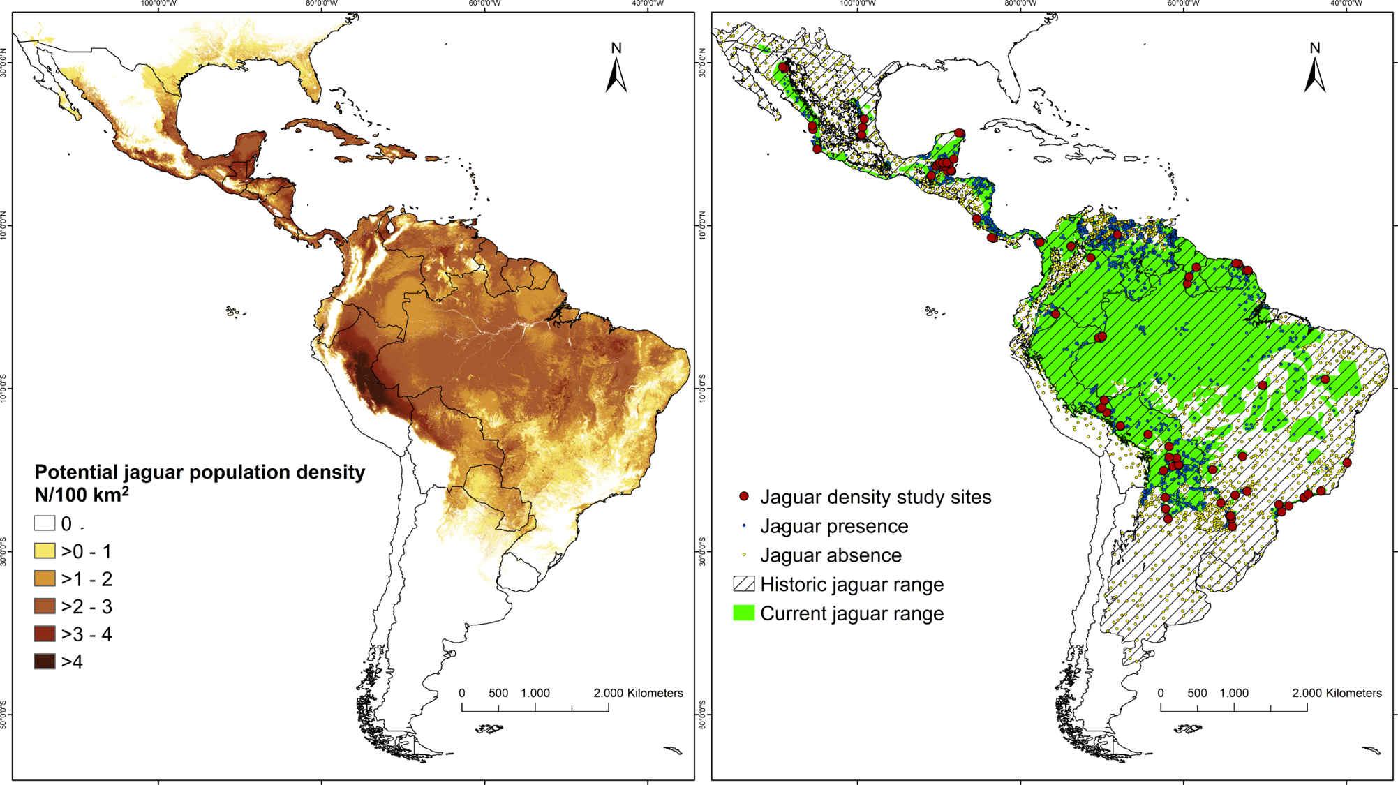Know your Sloth Predators: The Mighty Jaguar — The Sloth Conservation ...