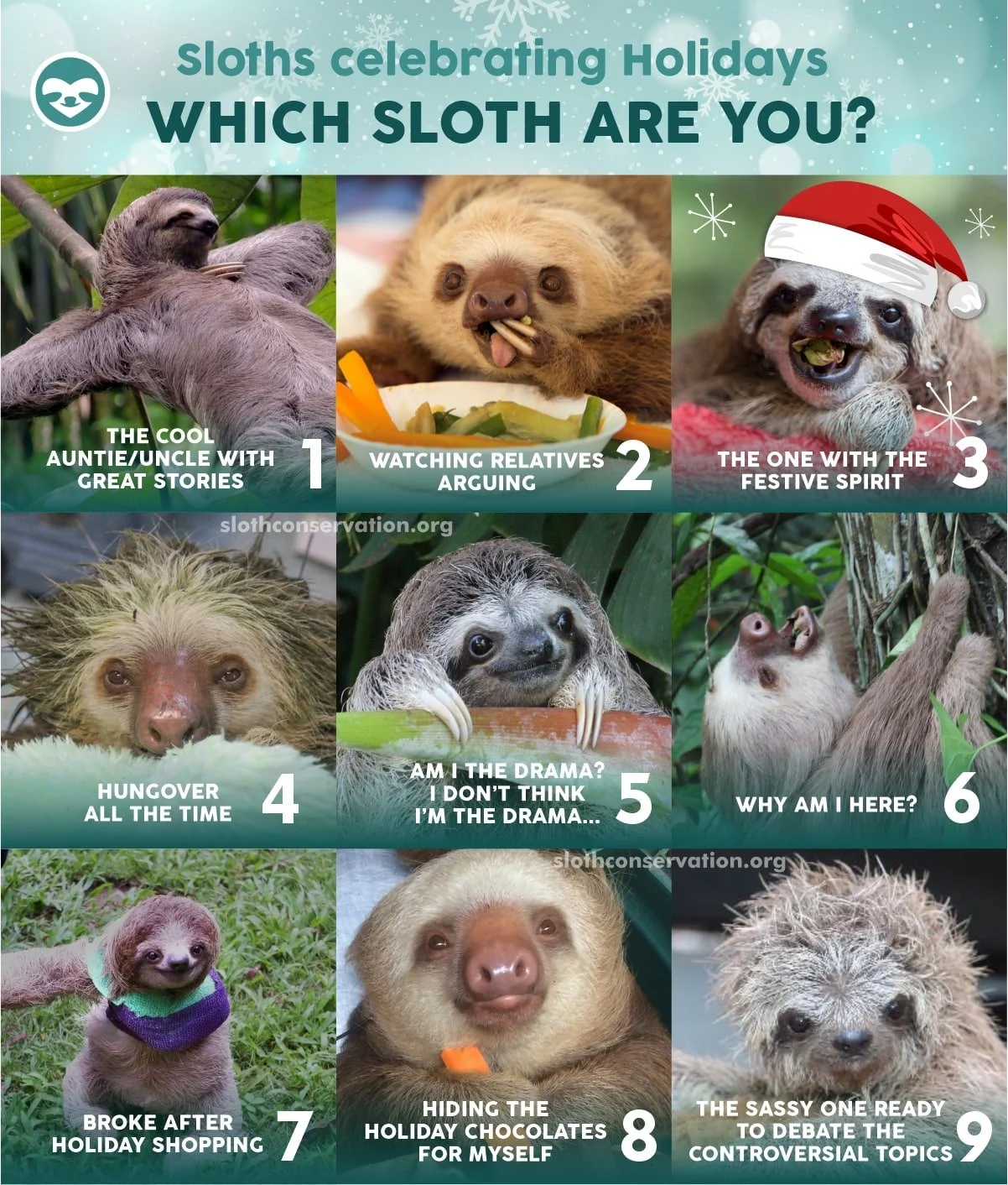 Best Sloth Memes — The Sloth Conservation Foundation