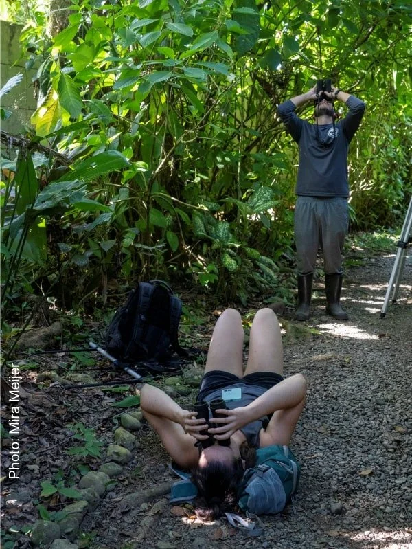 The best job I have ever had | Tracking Diaries #13 — The Sloth ...