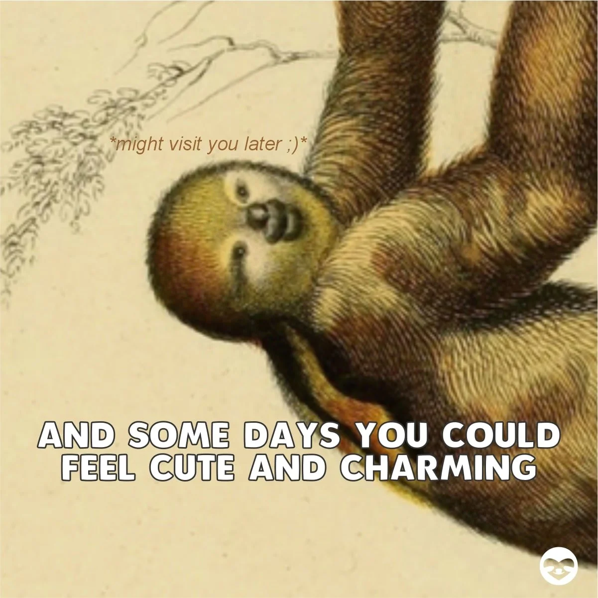 On a scale of medieval sloths, how are you feeling today? — The Sloth ...