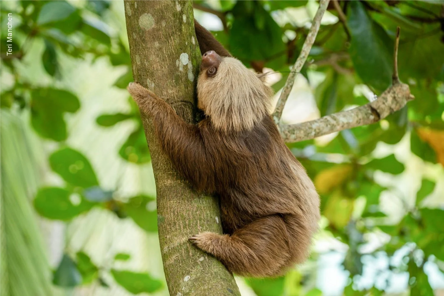 Tender, in Every Sense of the Word