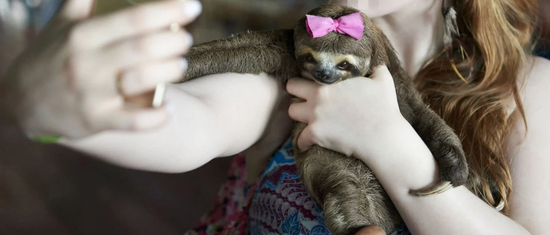 Girl holding a little sloth for a selfie