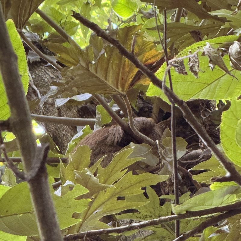 Tender Continues Exploring | November 2025