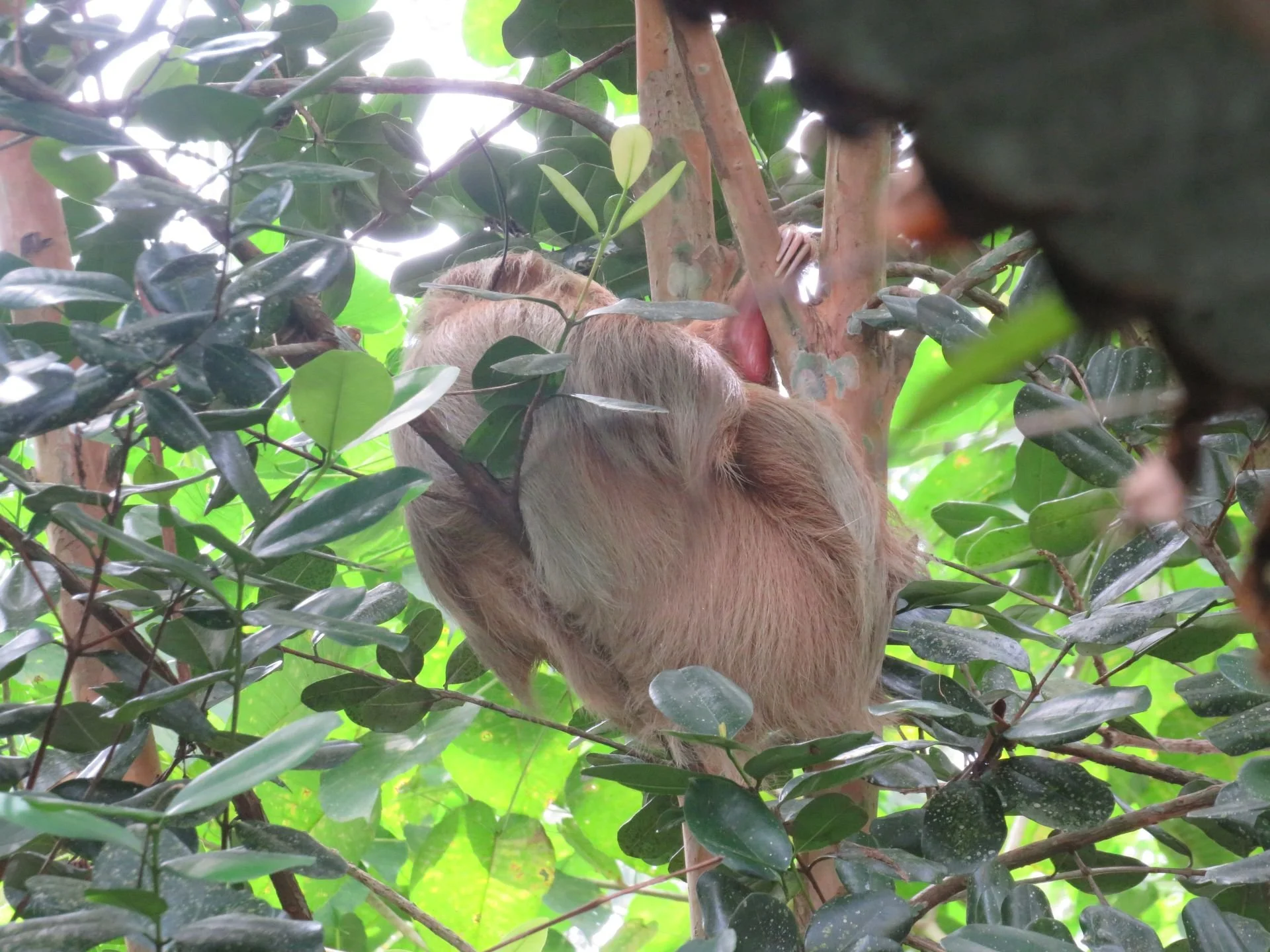 A Plot Twist | December 2025