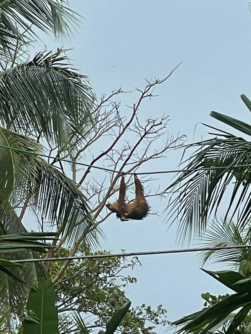 Foto de Mariano Salceda(1).jpg