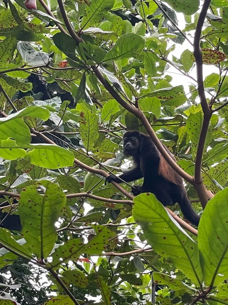 Foto de Mariano Salceda(2).jpg