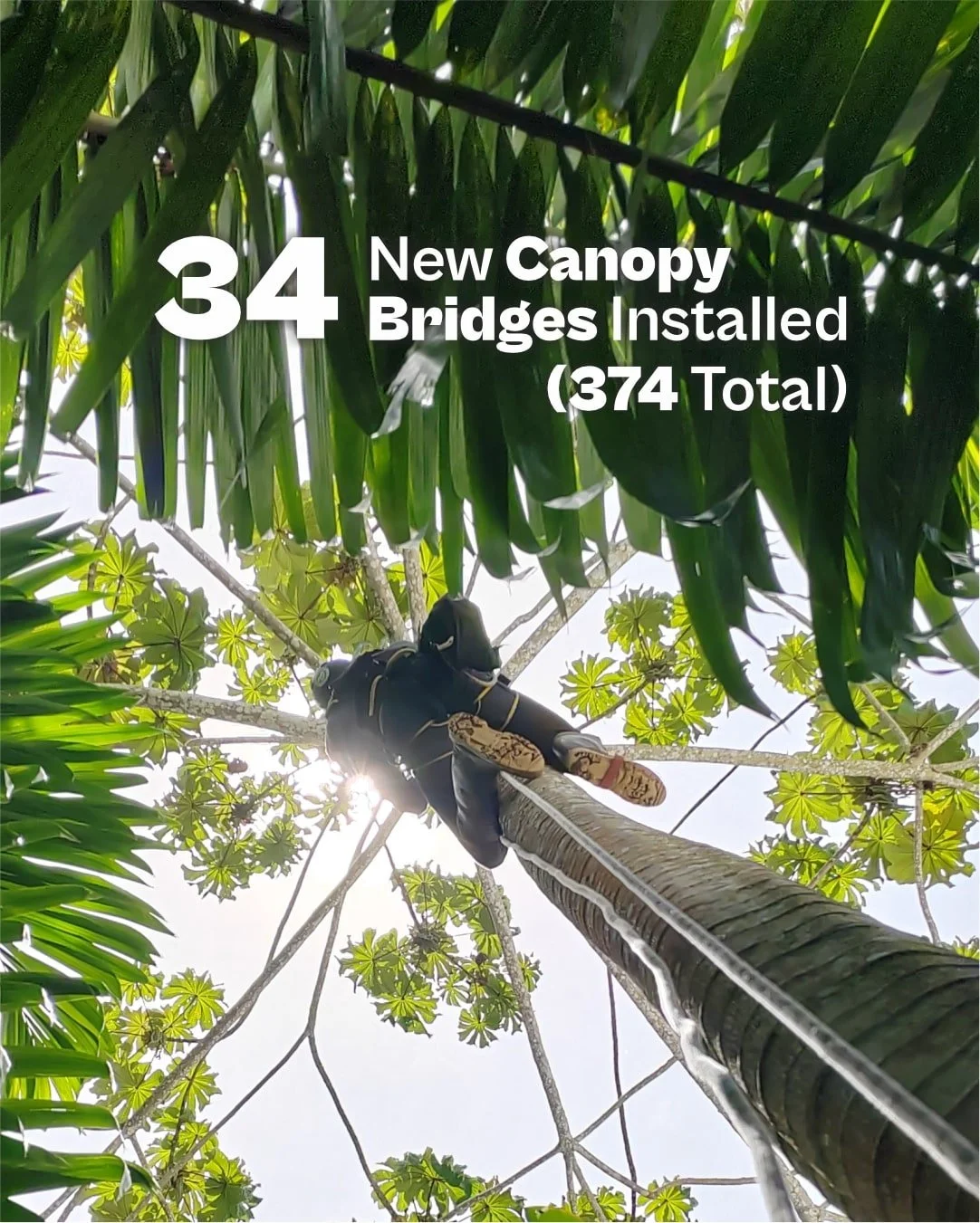recap 2025 4 bridges installed-min.jpg