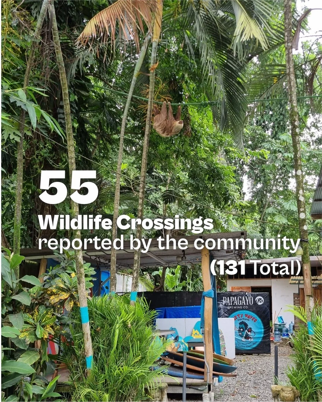 recap 2025 3 reports crossings-min.jpg