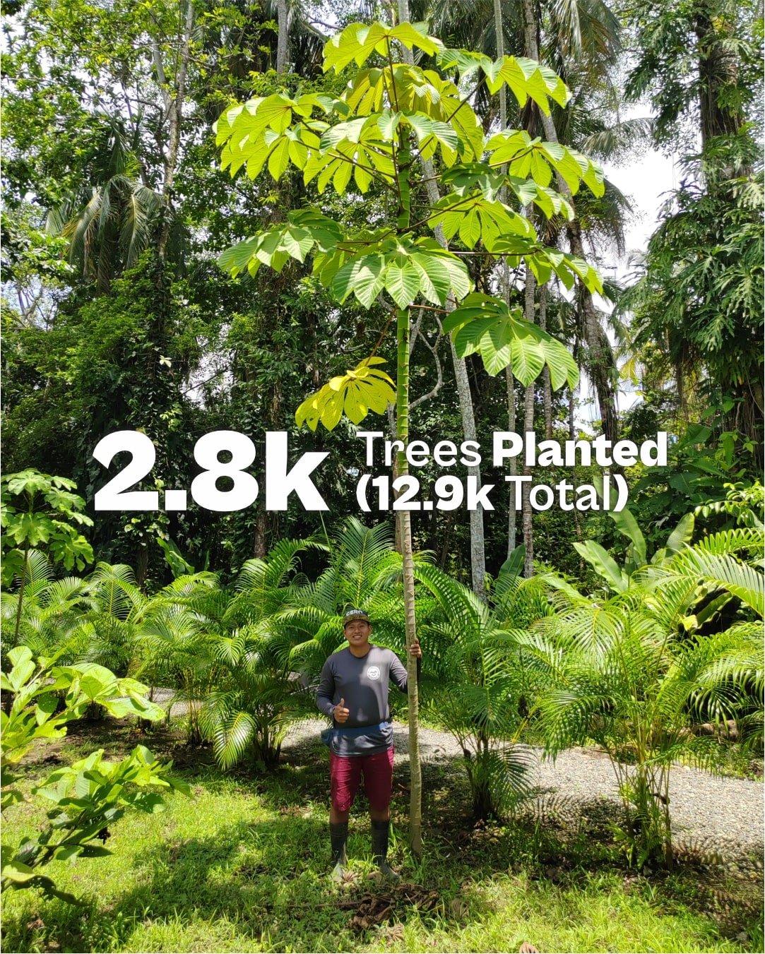 recap 2025 5 tree planted-min.jpg