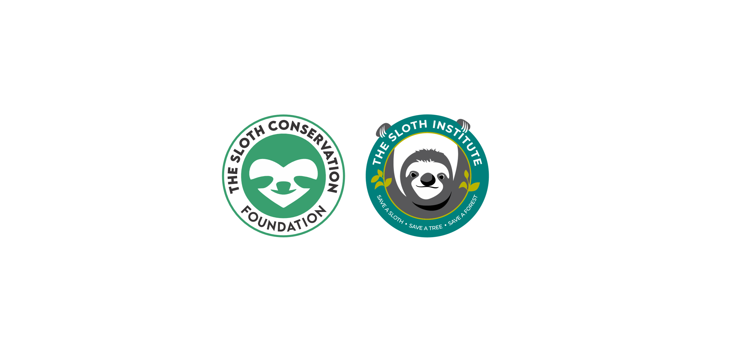 Sloth Conservation Organizations Warn Against U.S. Attraction Sourcing Wild-Caught Sloths for Commercial Entertainment