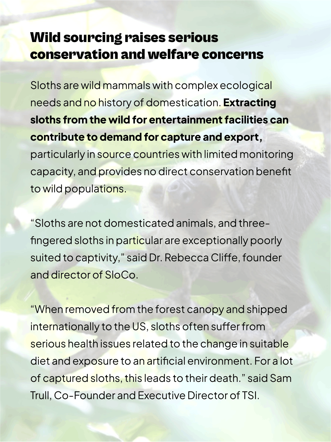 Sloth World Orlando (3).png