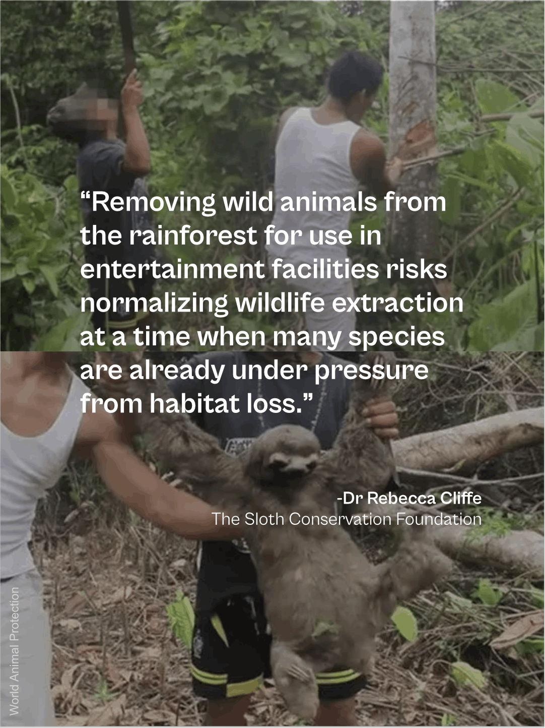 Sloth World Orlando (4).png