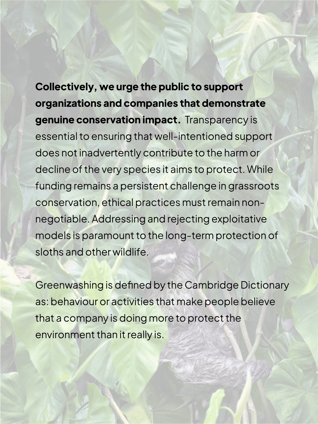 Sloth World Orlando (6).png