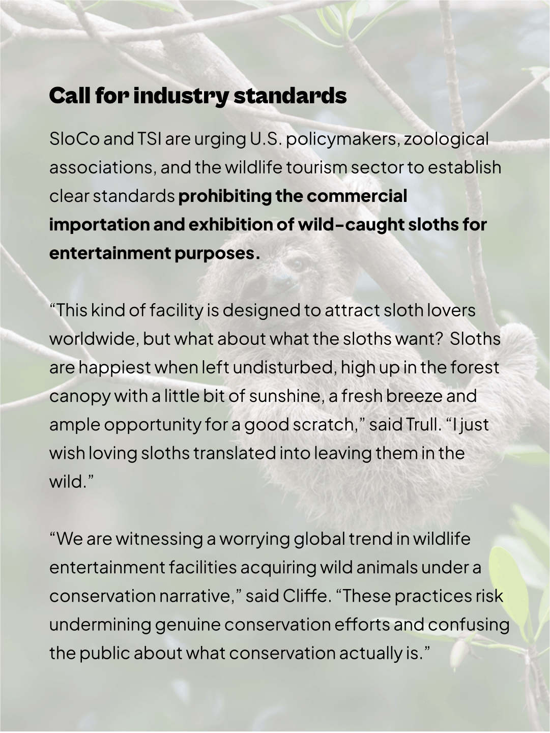 Sloth World Orlando (8).png