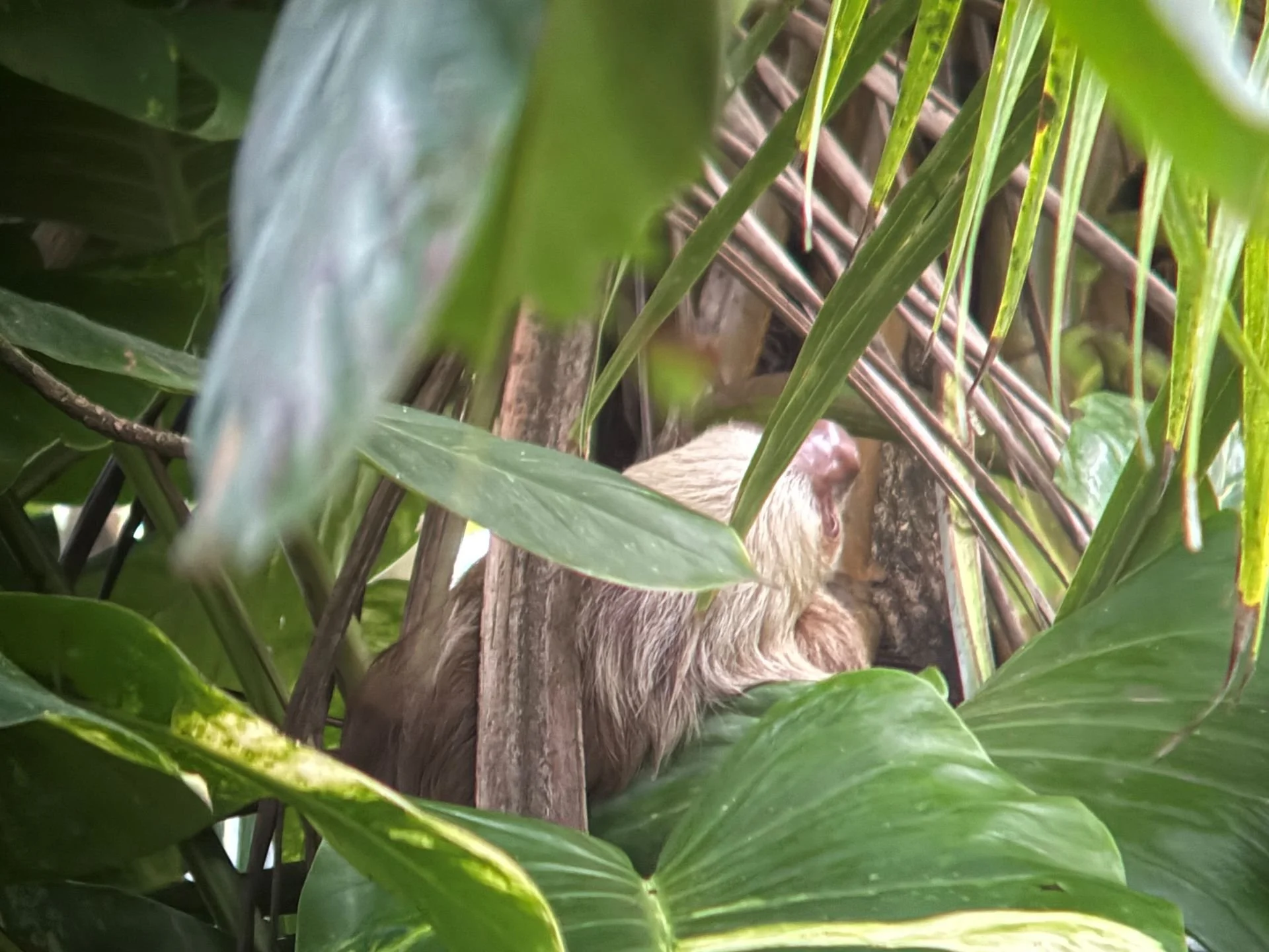 Exciting suspense | January 2026