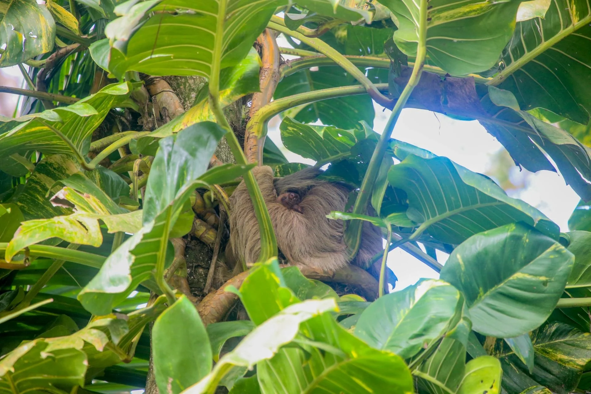 New Baby in Town! | February 2026 