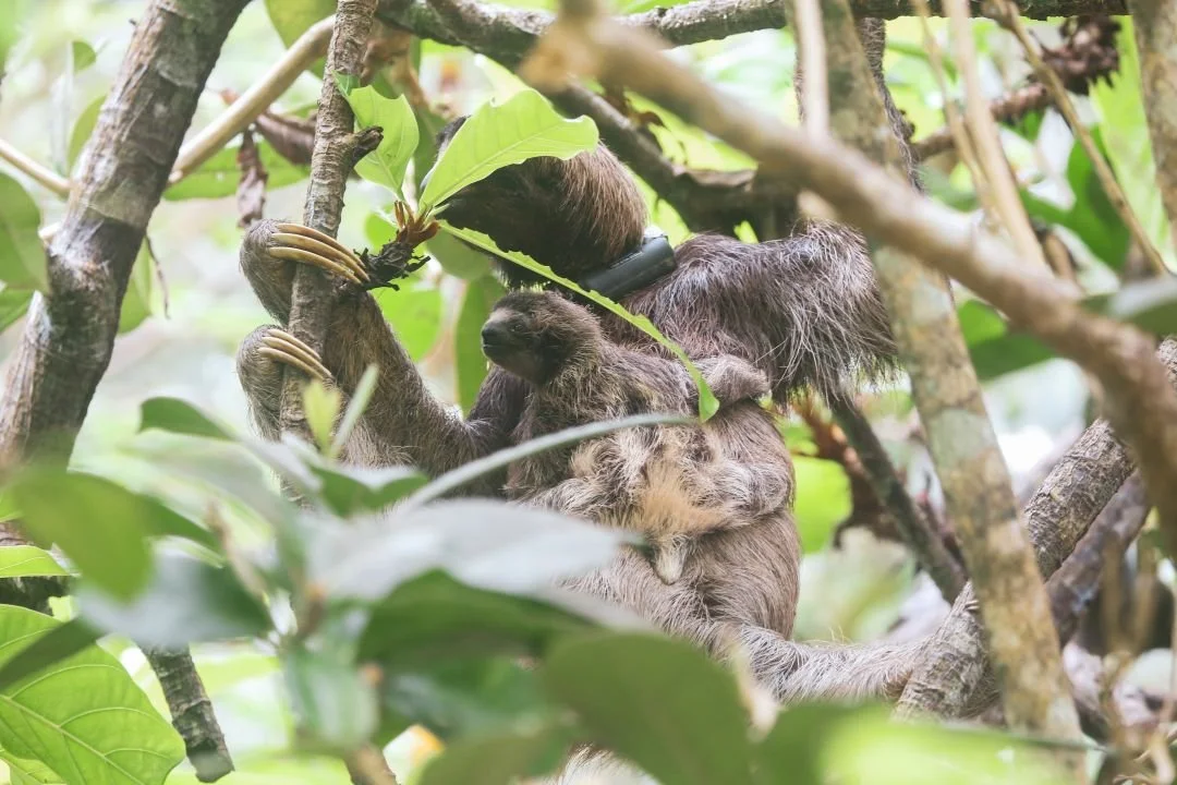 christine mikah (4).JPG