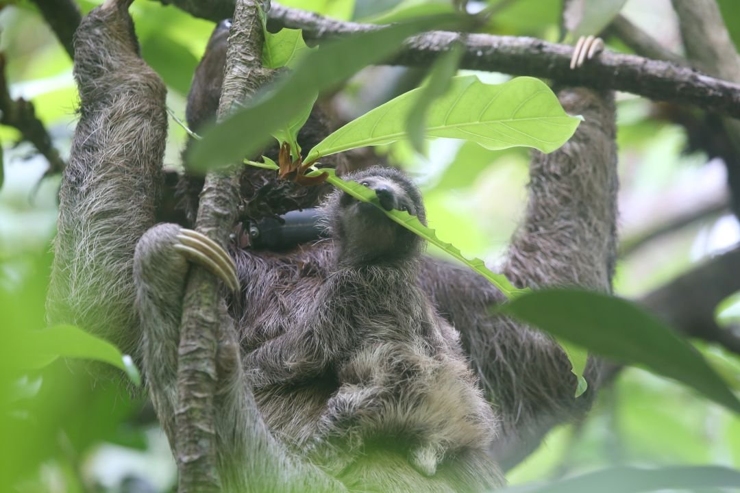 christine mikah (3).JPG