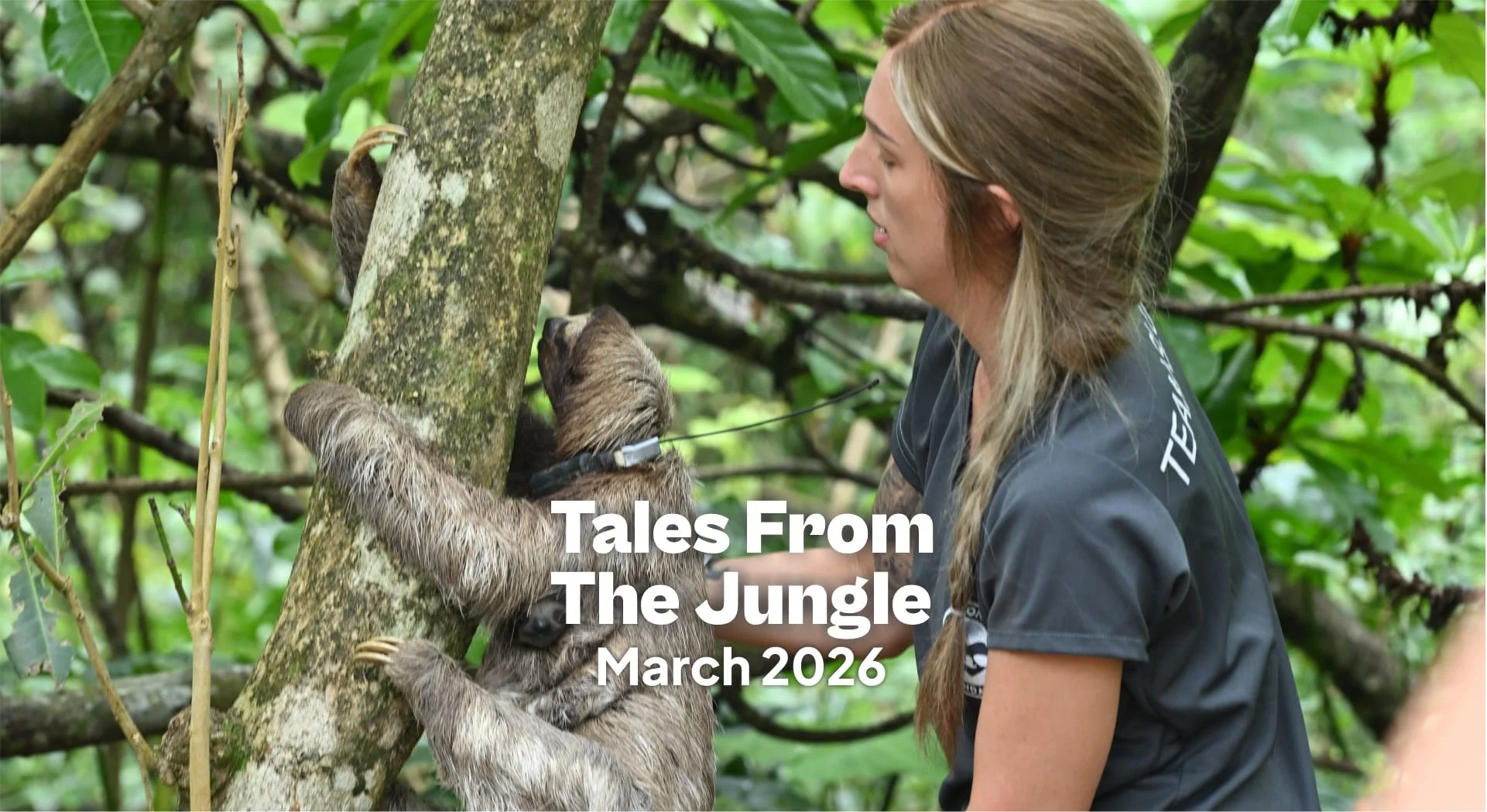 Tales from the Jungle | March 2026 