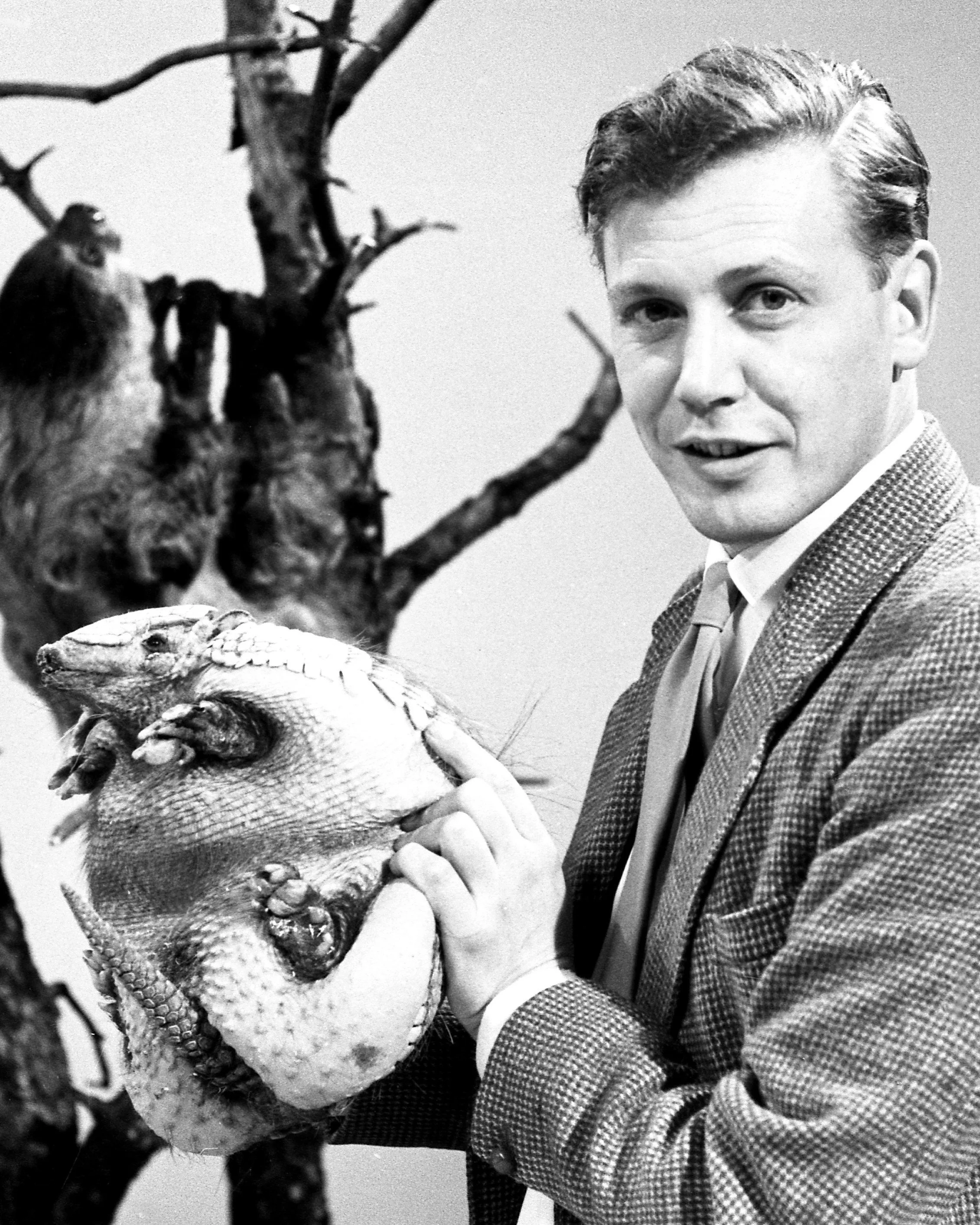 Sir David Attenborough and Sloths