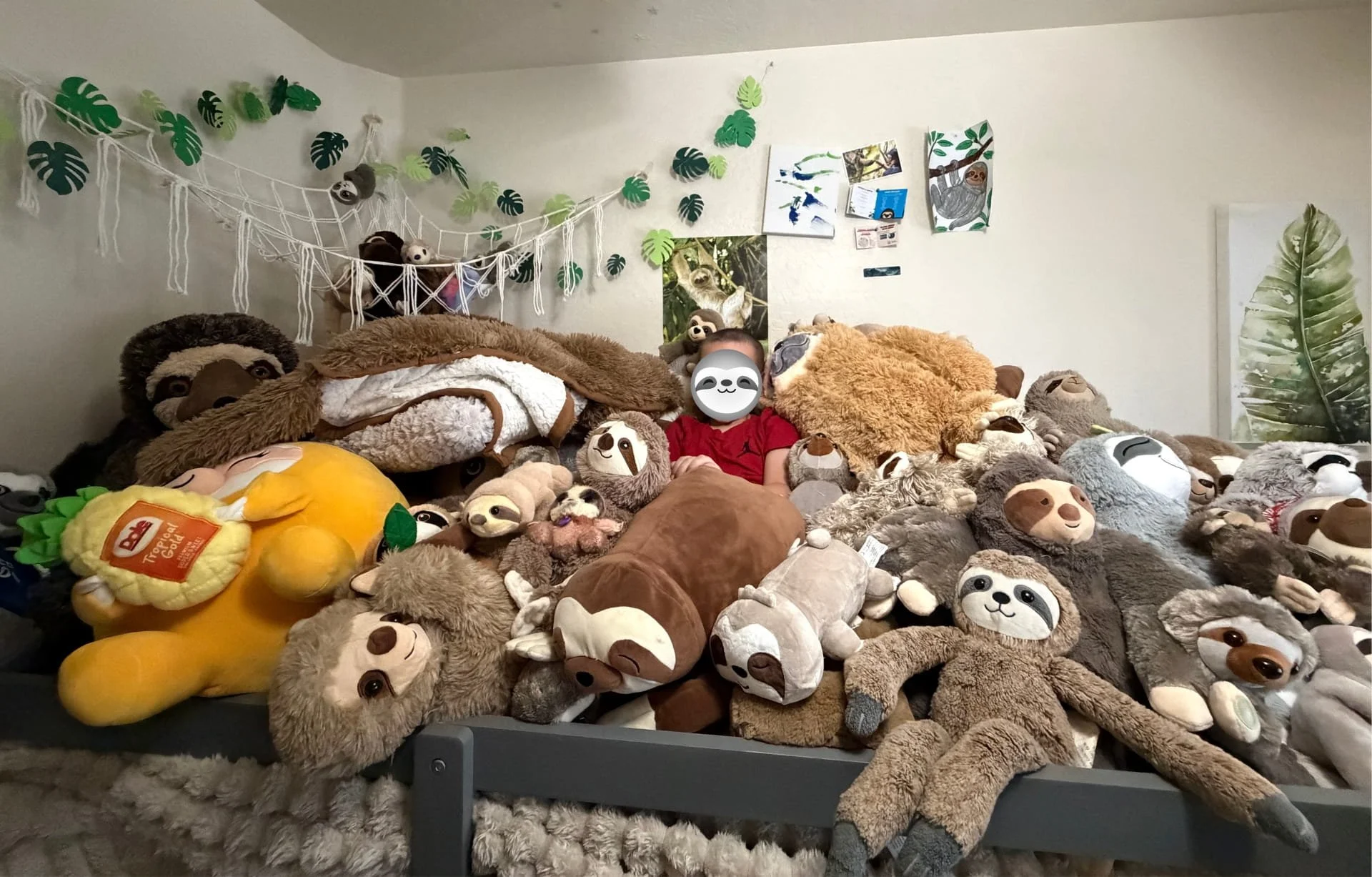 The Boy Who Beat Cancer With Sloths By His Side