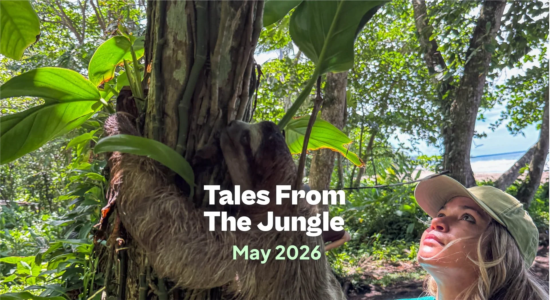 Tales from the Jungle | May 2026 
