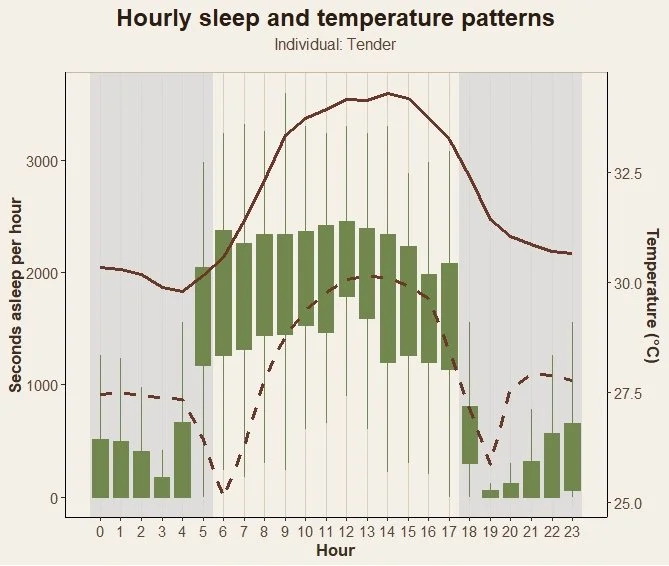 Tracking Tender: What We Learned From His Nocturnal Routine | May ‘26