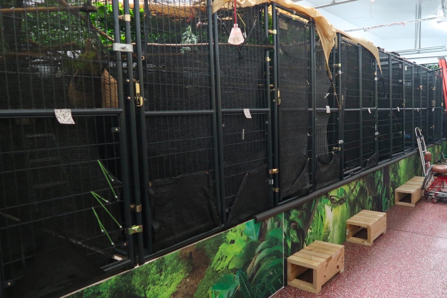 New Investigation Reveals Florida Regulators Failed to Act as More Than 50 Sloths Died | July