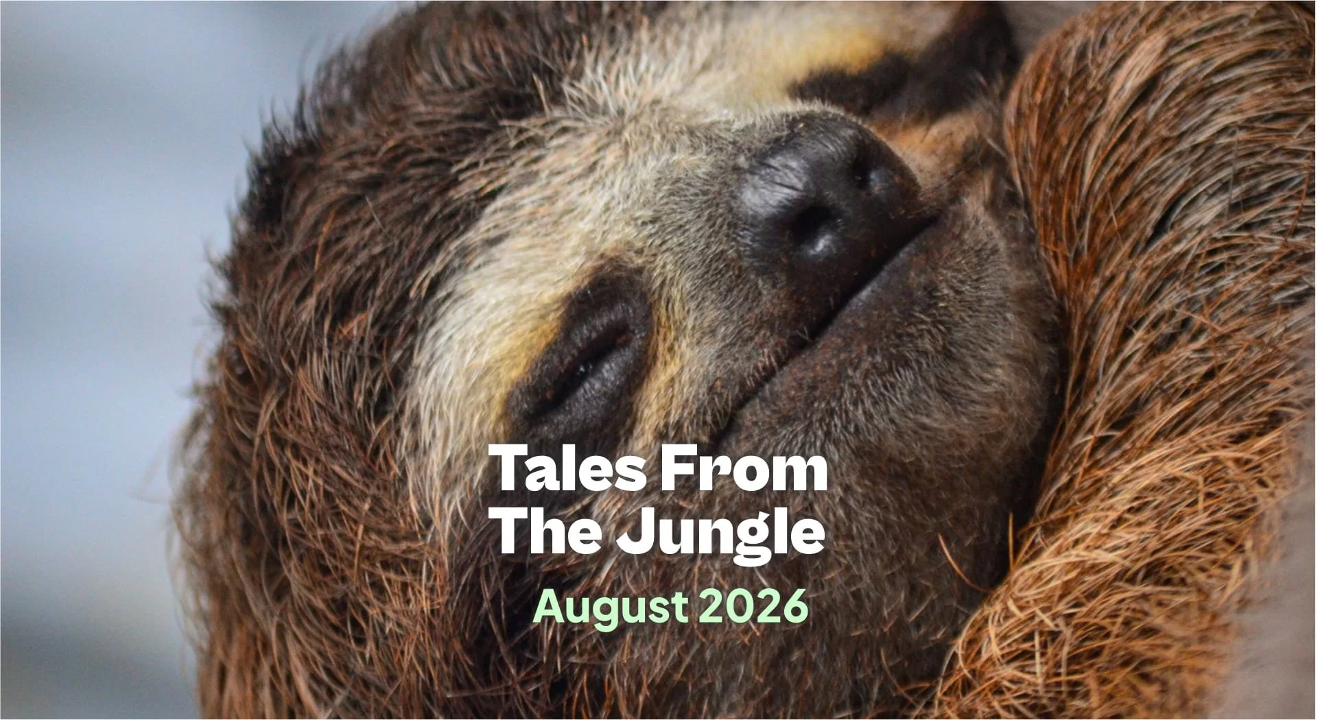 Tales from the Jungle | August 2026