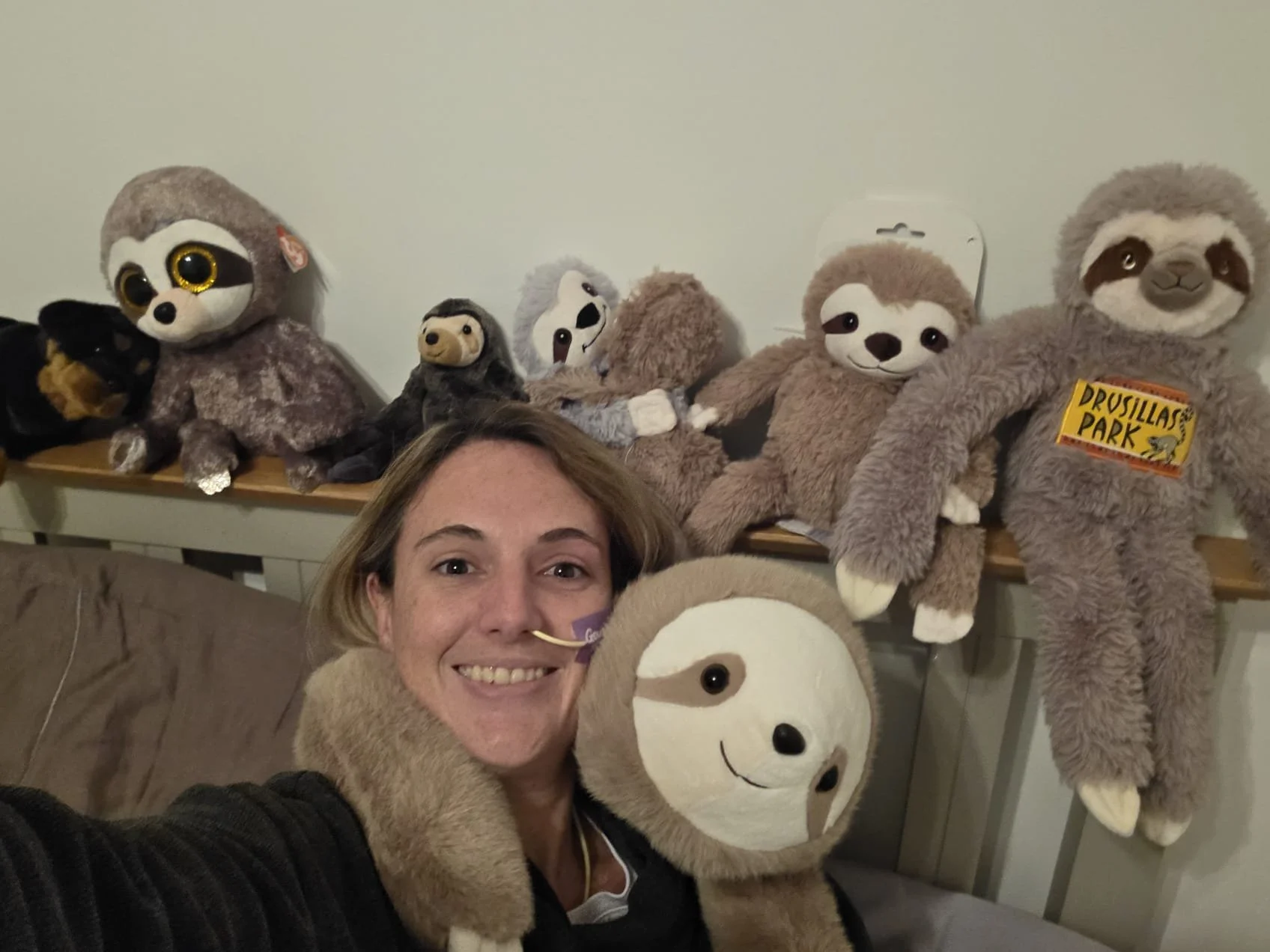 Sloths Are Important, but Not Only in the Way You’d Think