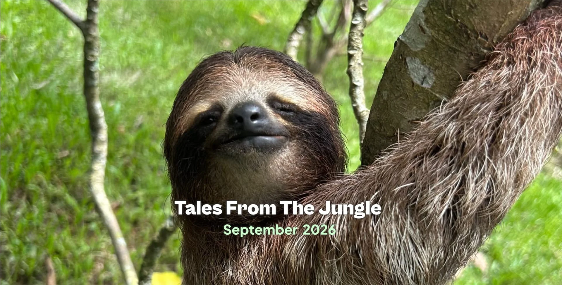 Tales from the Jungle | September 2026 