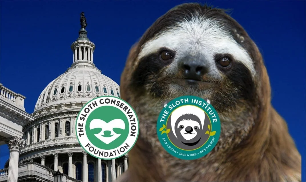 SLOTHS Act: A Bipartisan Bill to End Wild Sloth Imports into the U.S.