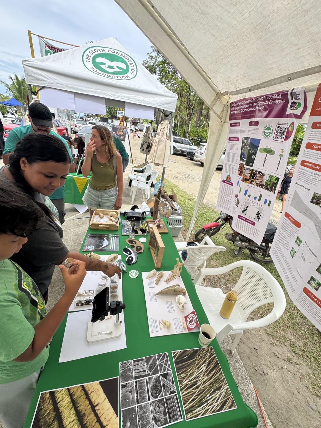 International Sloth Festival Costa Rica (19).jpg